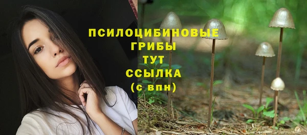 мескалин Новокубанск