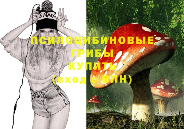 мескалин Новокубанск